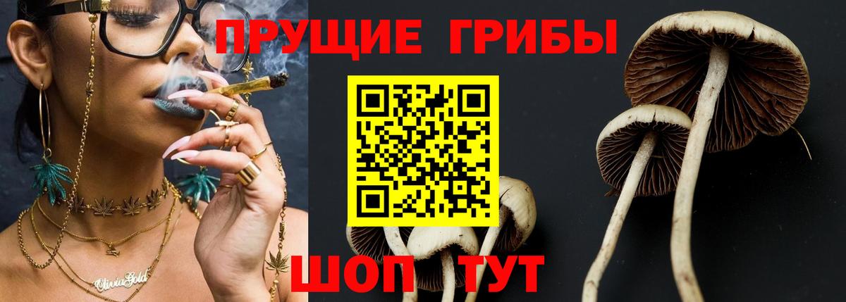 Псилоцибиновые грибы Magic Shrooms Реж