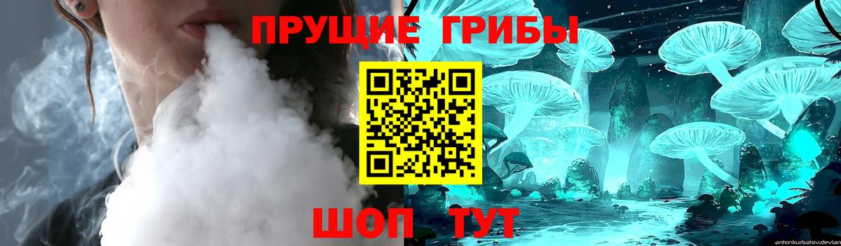 Псилоцибиновые грибы прущие грибы  Вход с VPN  Реж 
